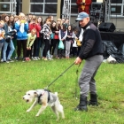 Biesiada u króla Jana